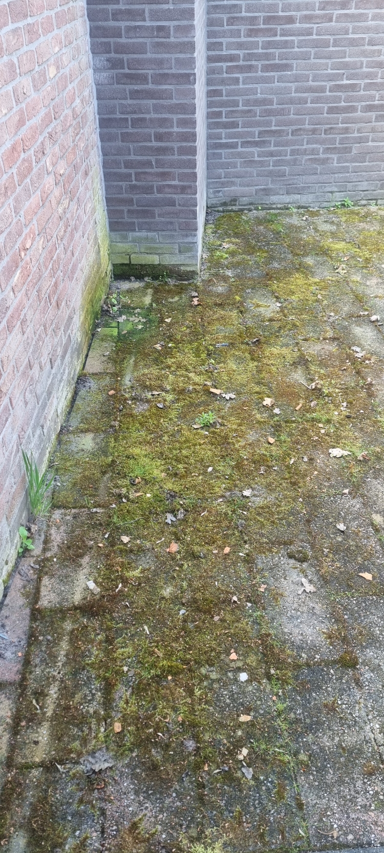 Terras voordat het gereinigd is met softwash