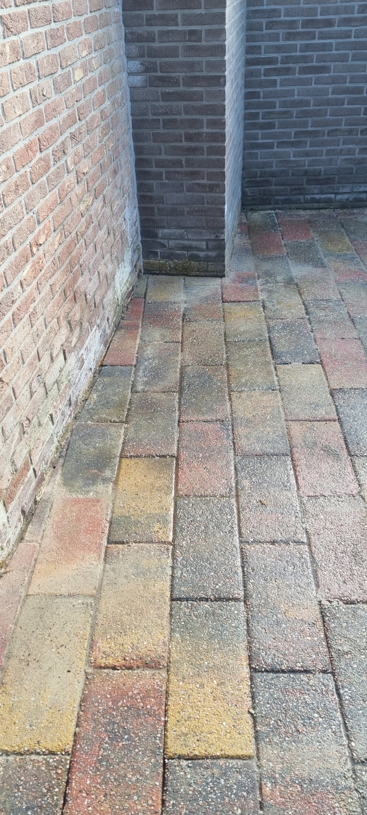 Terras nadat het gereinigd is met softwash